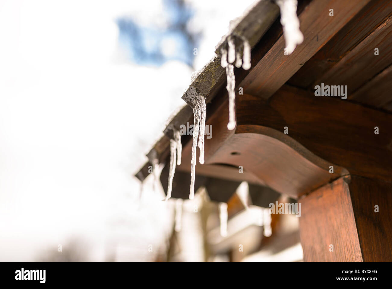 Hängenden Eiszapfen vom Dach eines hölzernen Gebäude auf einem Winter frostigen Tag, viel Schnee auf dem Dach. Stockfoto