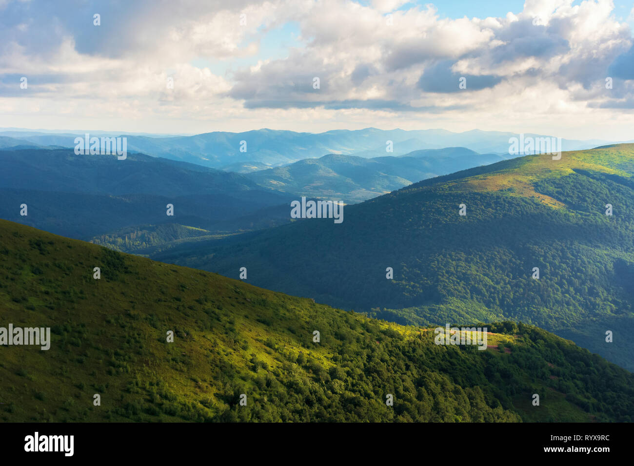 Schöne Berglandschaft im Sommer am Nachmittag. grüne Almwiesen und die bewaldeten Hügel. ridge in der Ferne. schöne Natur Hintergrund mit Grippe Stockfoto