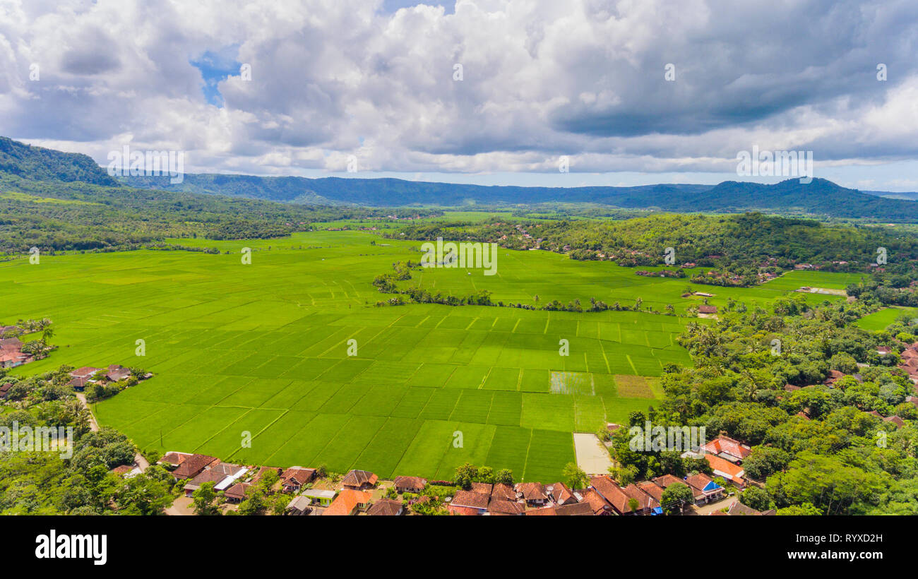 Spektakuläre Felder von Reis, die herrliche Landschaft Landschaft mit dramatischen Wolken und Himmel und Dörfer. Ciletuh ist die UNESCO Global Geopark. Stockfoto