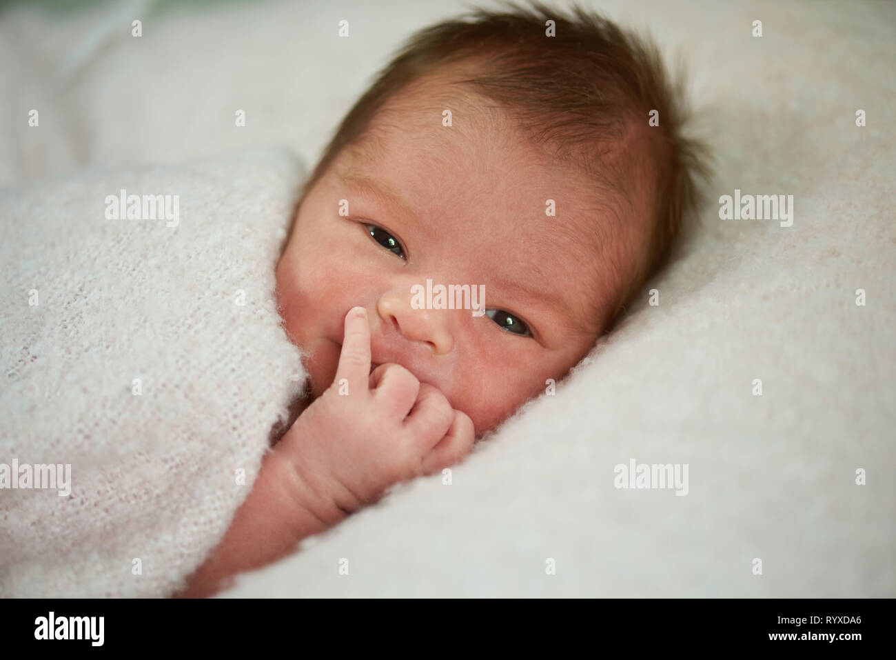 Neugeborenes Baby Portrait mit dem Finger im Mund süß Stockfoto