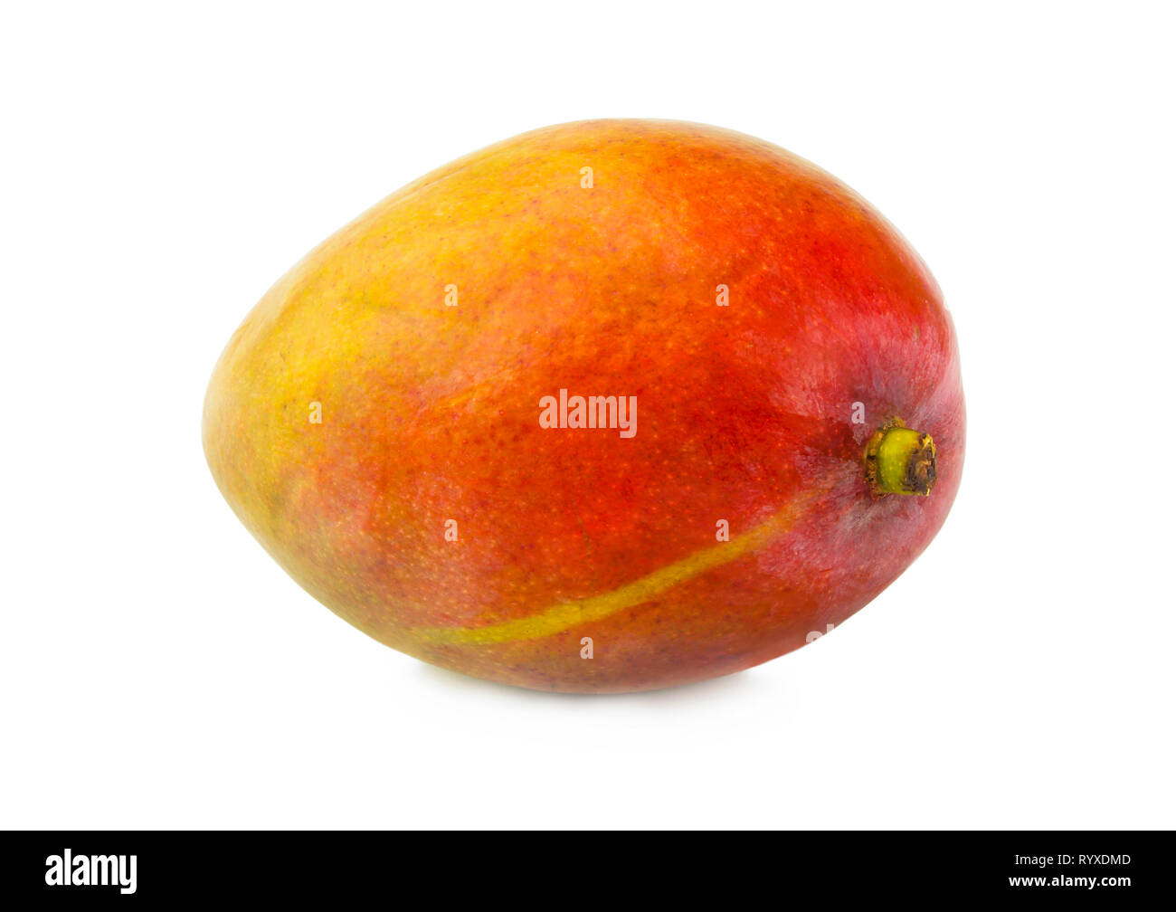 Die mangofrucht Closeup auf weißem Hintergrund Stockfoto