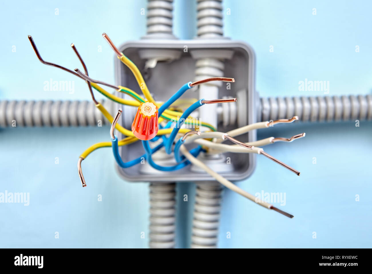 Junction Box Schaltplan für elektrische Kabel in der Wand, in der Fläche erweitern mit Drähten mit Twist rosafarbenes Kabel Stecker angeschlossen. Stockfoto