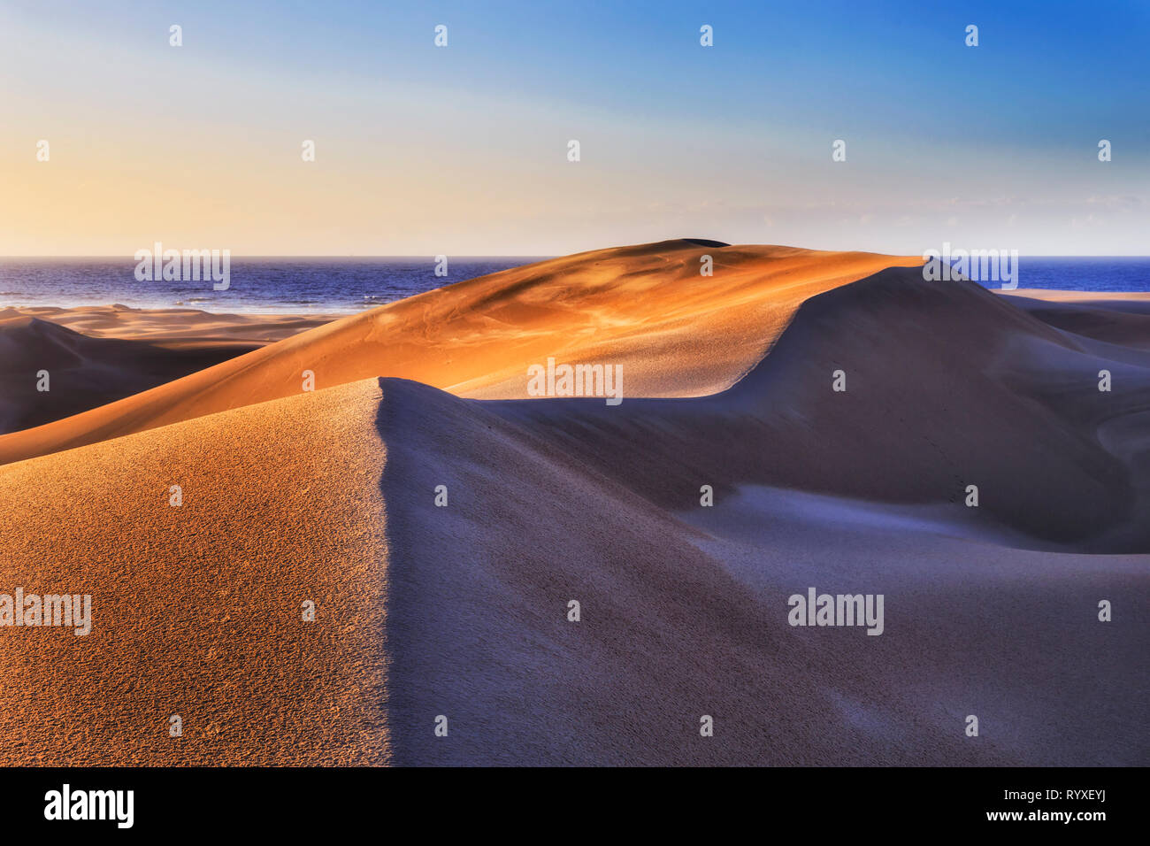 Unberührte Sanddünen unter weichen warmen Morgenlicht von Stockton Strand an der Pazifikküste von Australien. Stockfoto