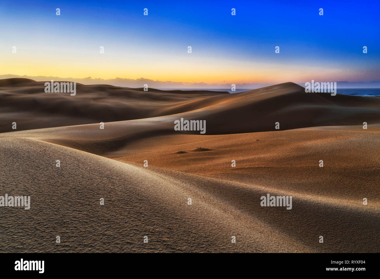Leblos endlosen Sanddünen der Wüste am Ufer des Pazifischen Ozeans - Stockton Strand. frühen Sonnenaufgang morgen Licht in kalten, blauen Himmel scheint auf unberührte Surf Stockfoto