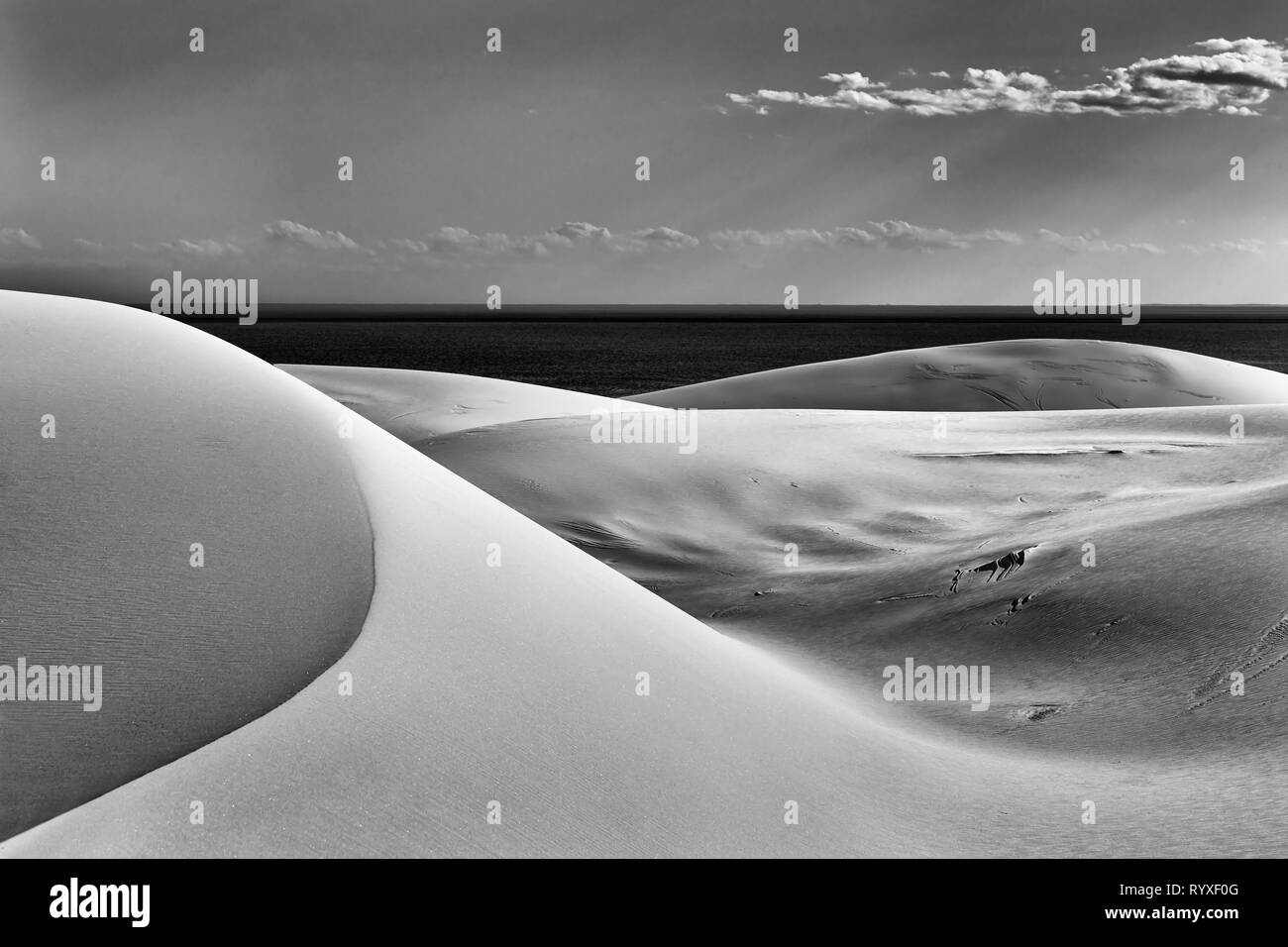 Abstrakte schwarz-weiß Bild von Formen in den Sand Dünen am Strand Stockon auf der Pacific Coast, Australien. Hoher Kontrast glatte Linien durch natürliche gebildet gewinnen Stockfoto
