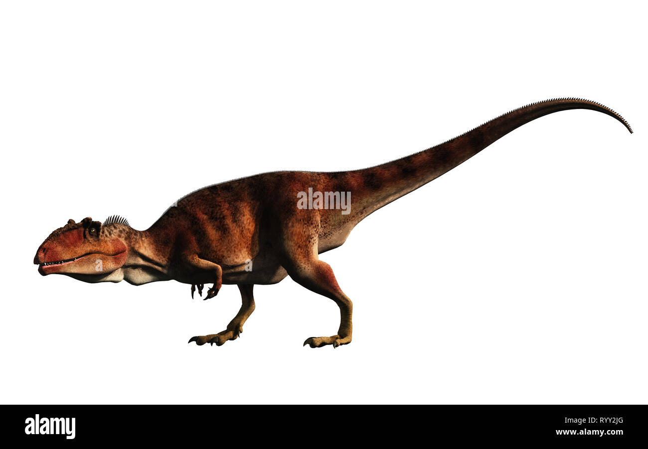 Giganotosaurus Fotos und Bildmaterial in hoher Auflösung Alamy