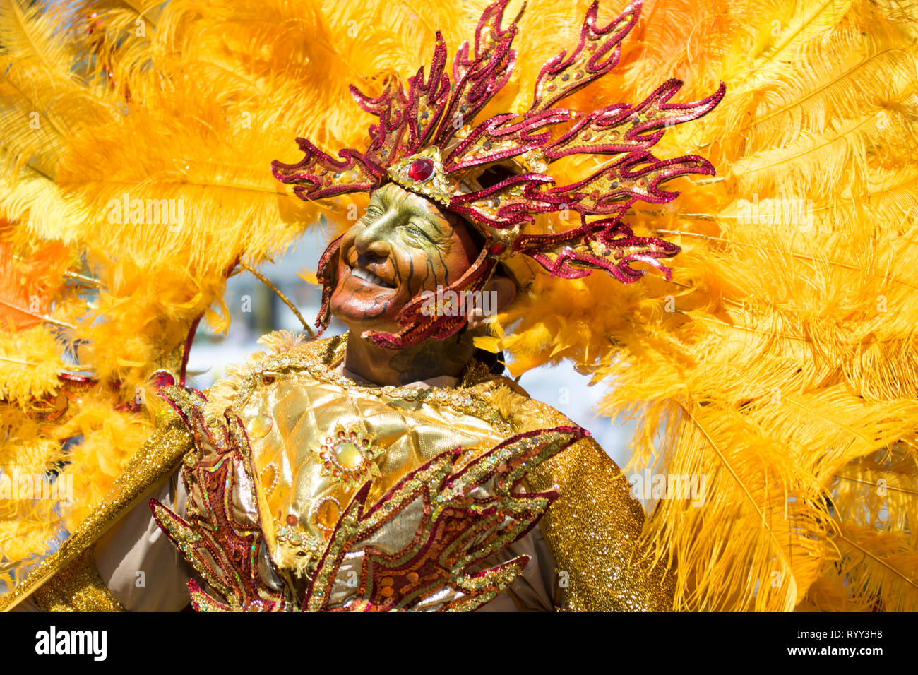 Der Mensch in der Verkleidung. Die Schlacht der Blumen ist eine Veranstaltung, die am Samstag im Karneval dauert. Es ist ein Umzug mit Wagen, comparsas, cumbiambas, Folk gro Stockfoto