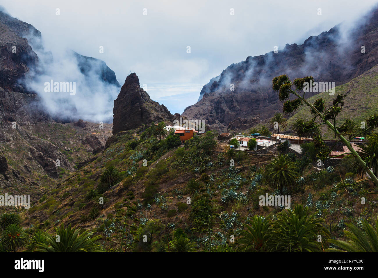 Fabelhafte Masca Schlucht Berg die meistbesuchte Touristenattraktion auf Teneriffa Stockfoto