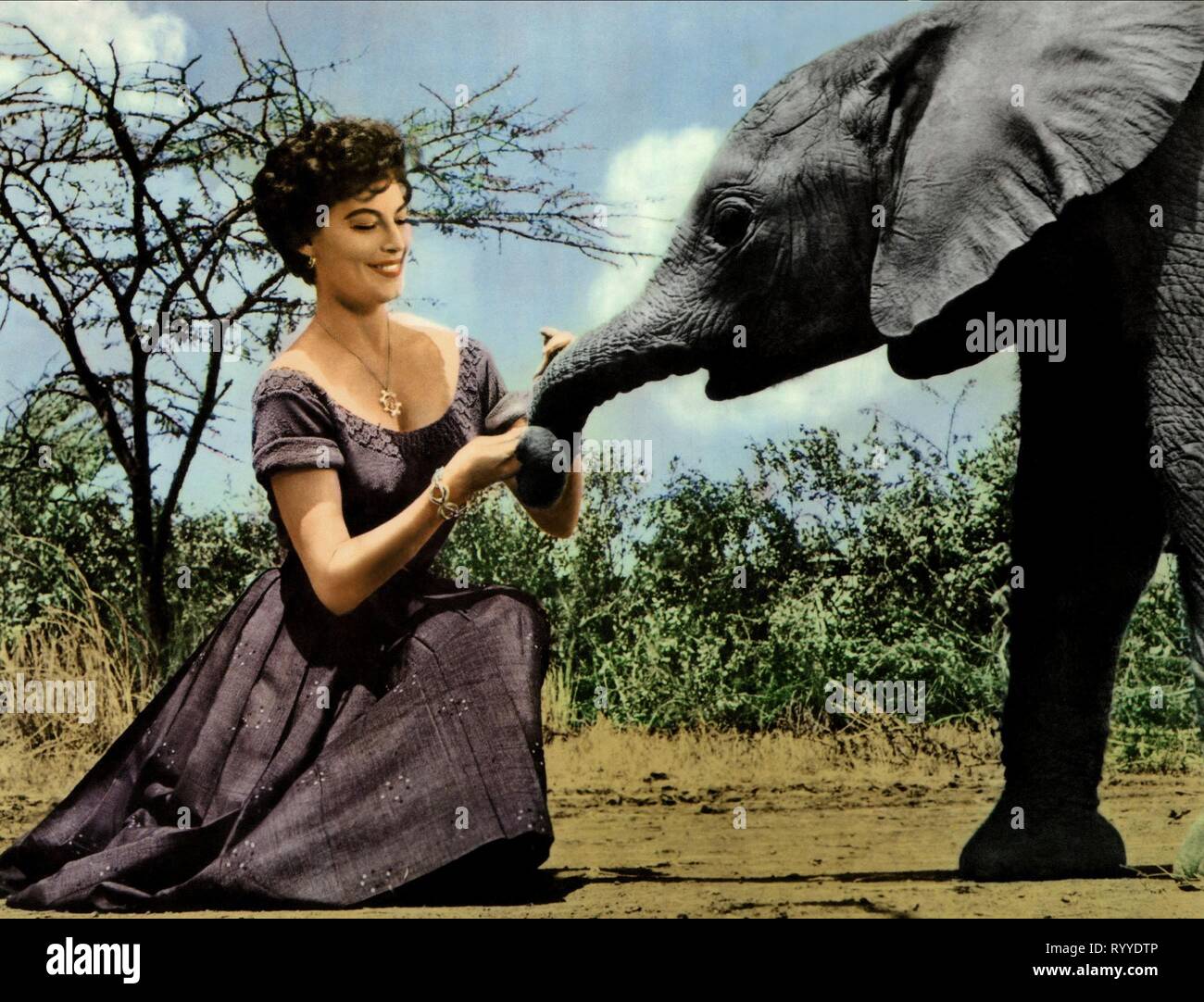 AVA GARDNER, MOGAMBO, 1953 Stockfoto