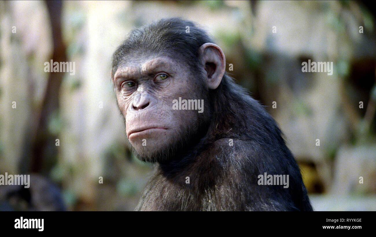 Planet Der Affe Stockfotos Und Bilder Kaufen Alamy