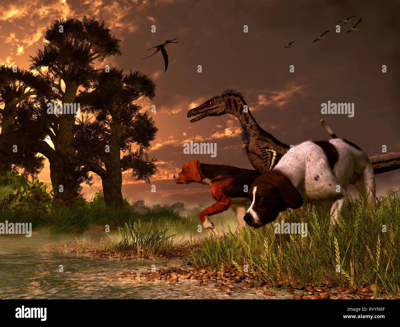 Eine velociraptor Jagden zusammen mit zwei Hunden. Die Jagdhunde und die Dinosaurier sind in langen GRÄSERN von einem Feuchtgebiet am Ufer des Wassers. Stockfoto