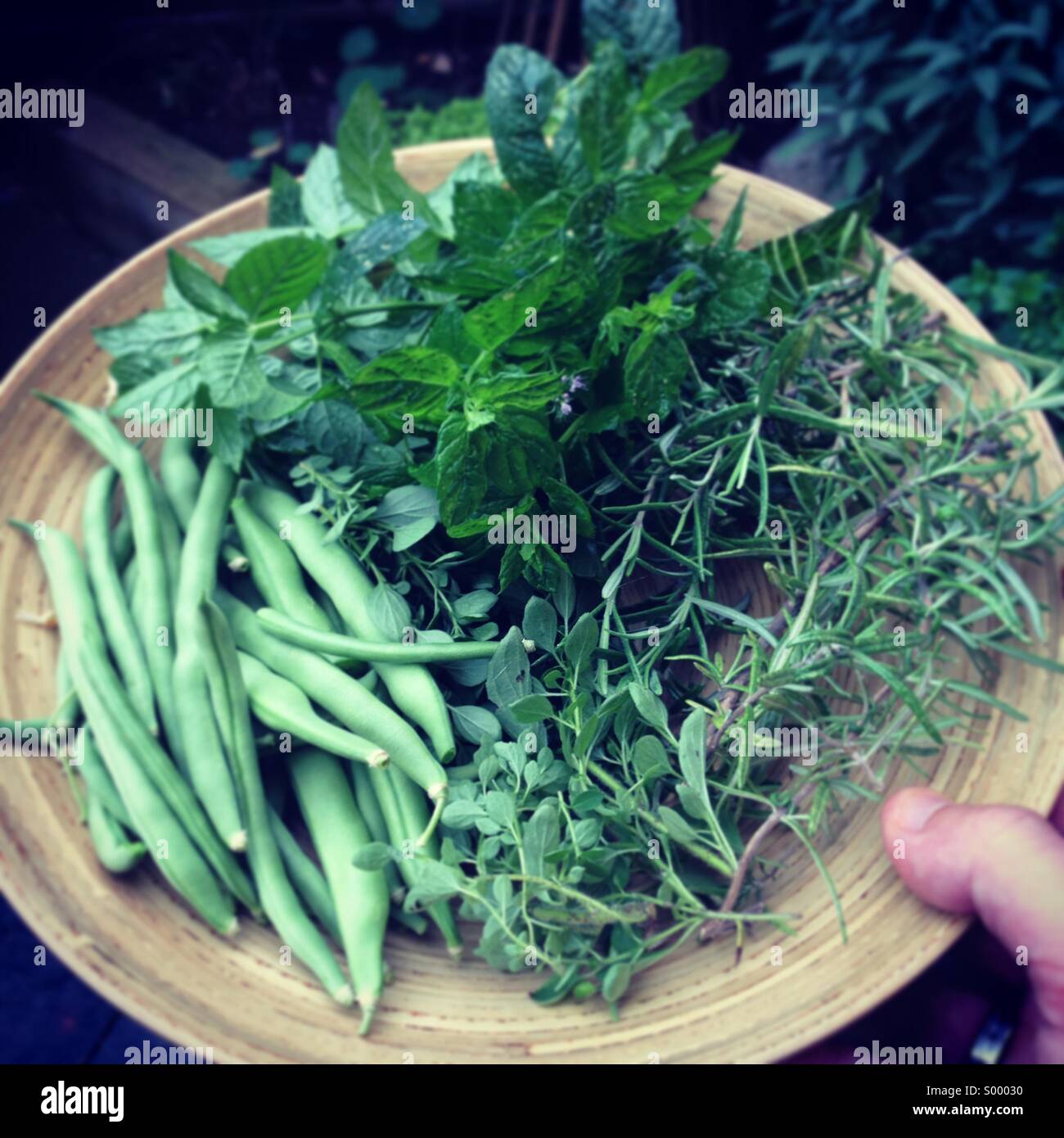 Homegrown Gartengemüse und Kräuter - Smartphone-aufgenommenes Stockfoto