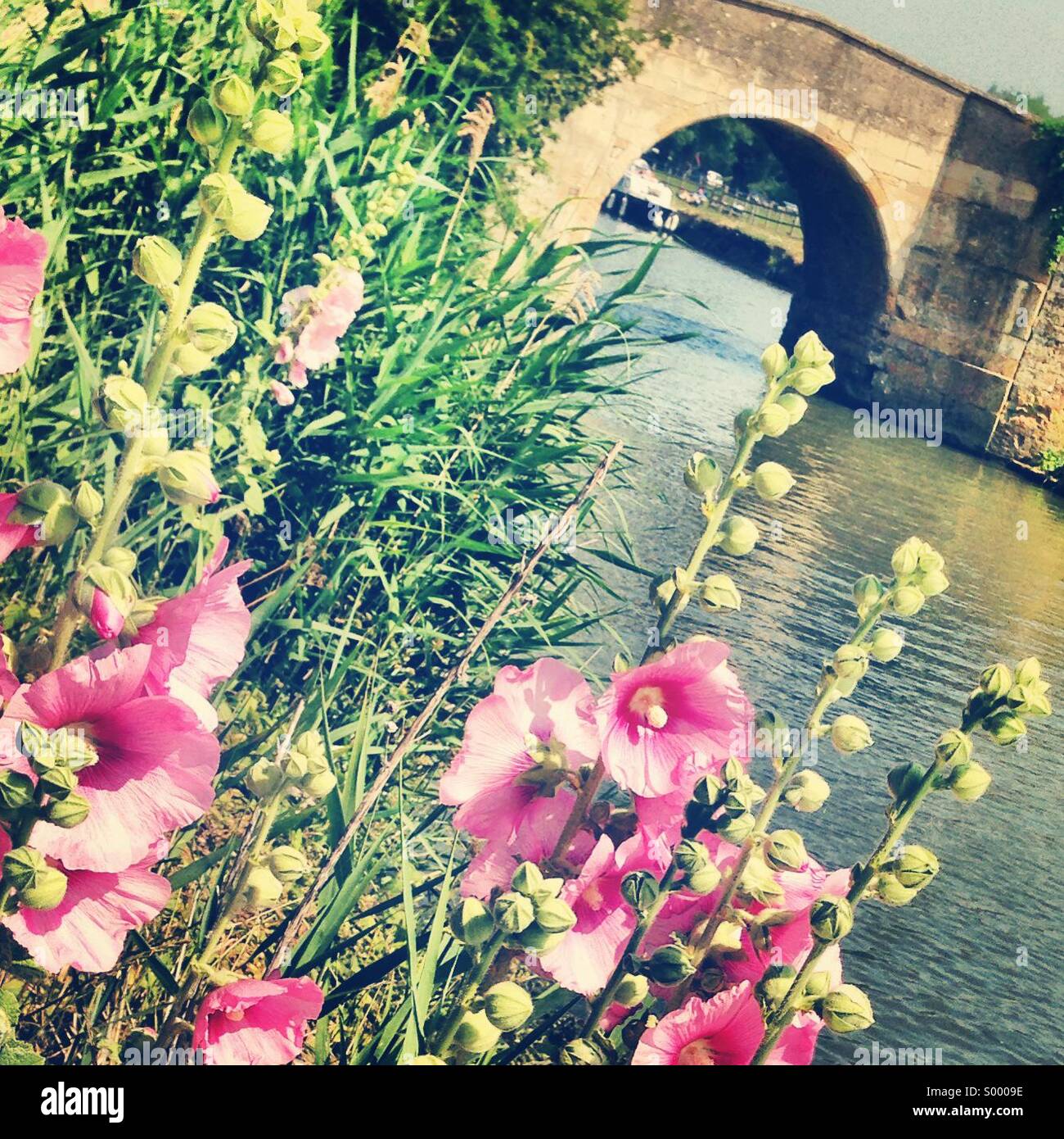 Radcot Bridge, Oxfordshire Stockfoto