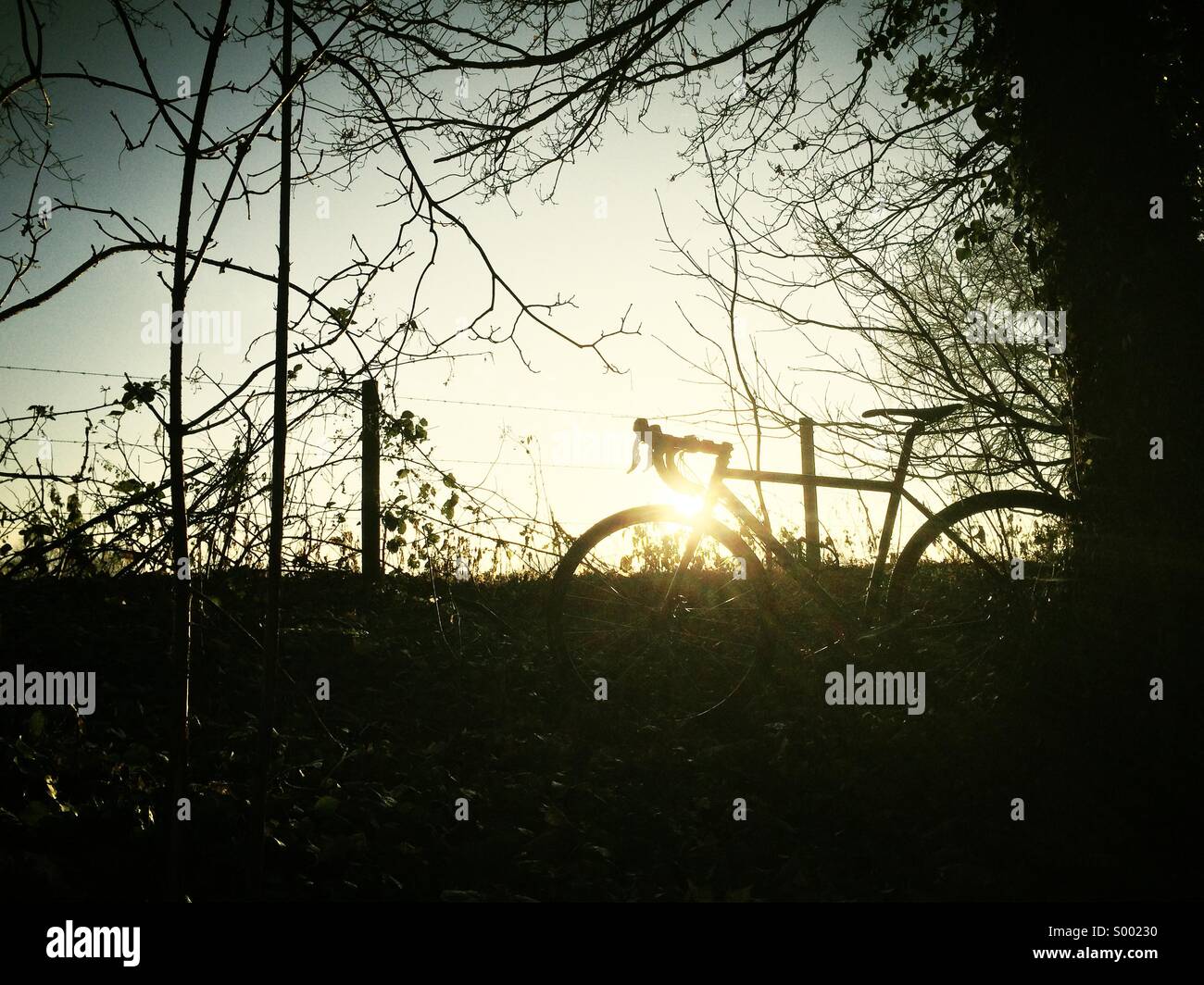 Silhouette der Fahrrad mit Sunrise Stockfoto