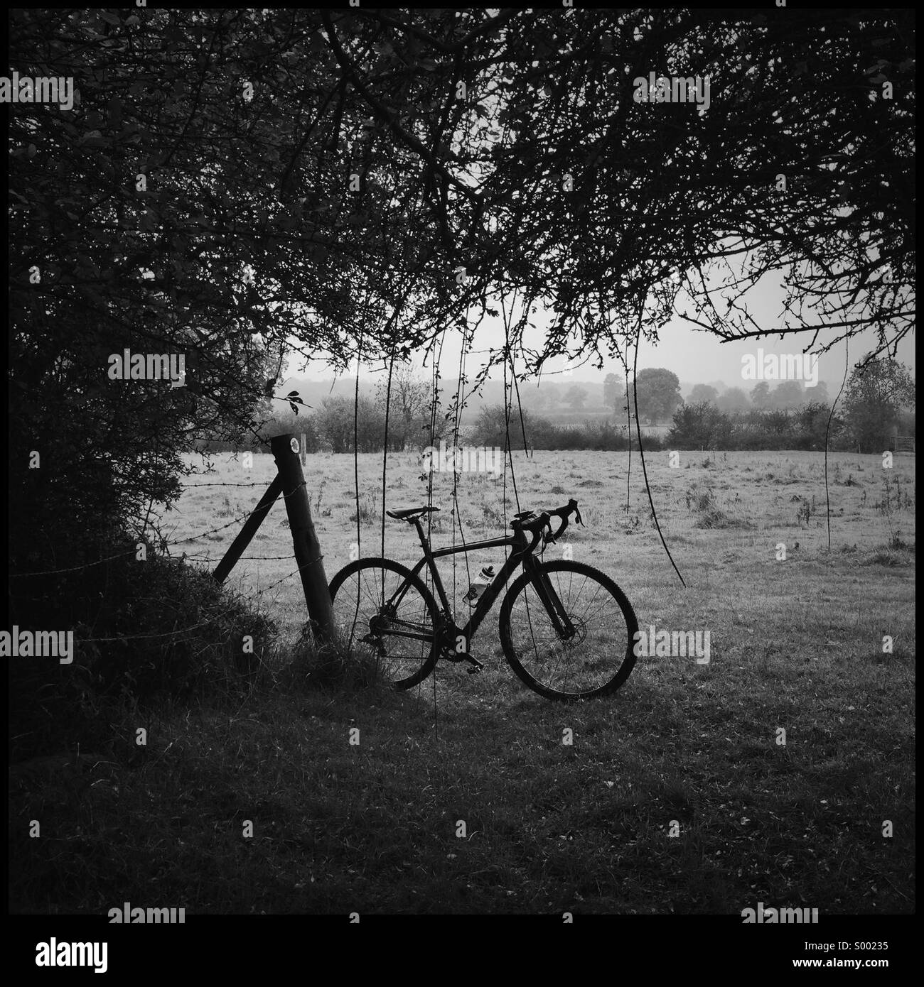 Launisch Fahrrad Stockfoto