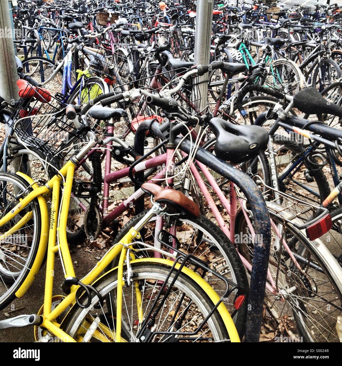 Viele Fahrräder Stockfoto