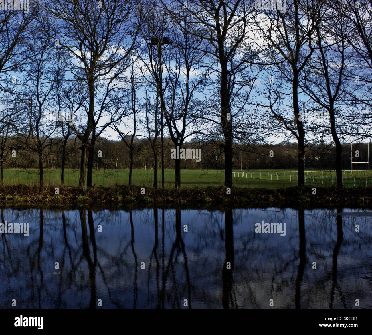 Ein Spiegelbild der Bäume auf einem Rugby-Spielfeld, in den Fluten um Aberdeen Stockfoto