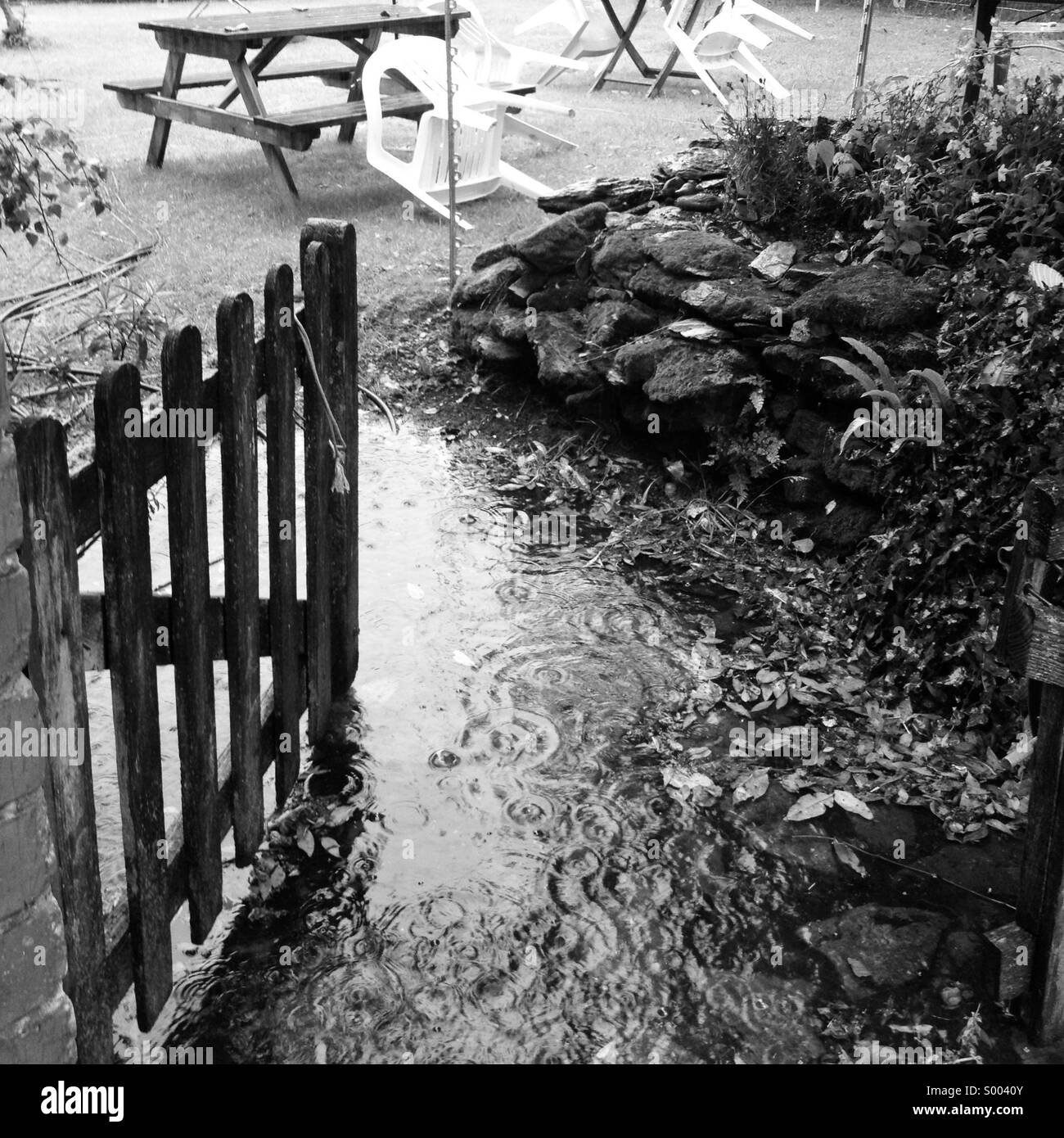 Regen-Teich Stockfoto