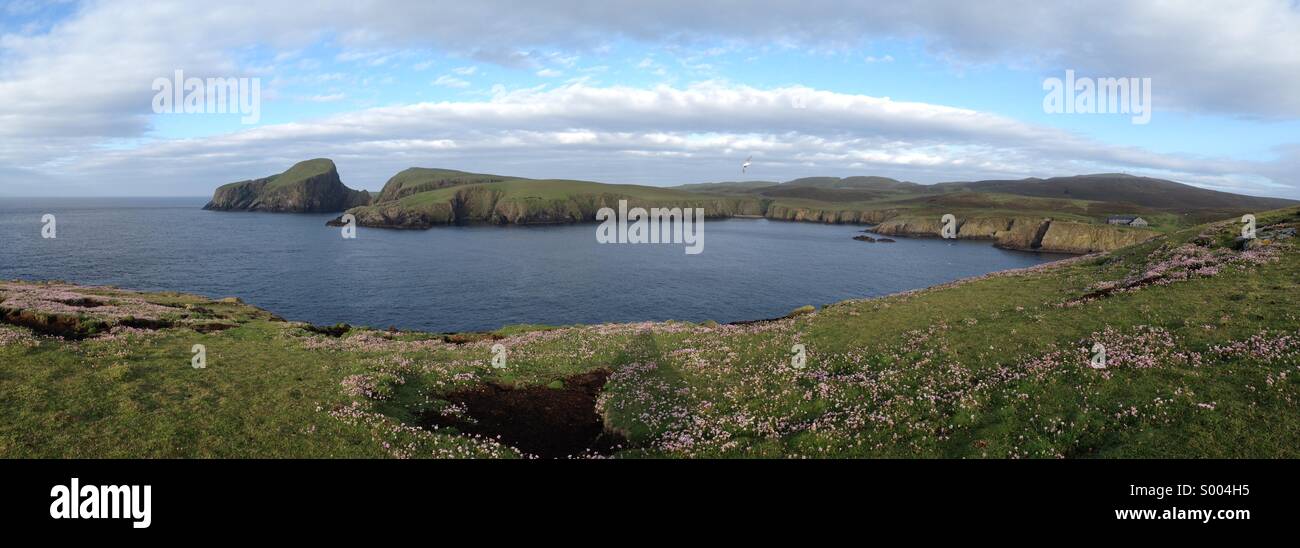 Fair-Isle, Sheep Rock und Vogelwarte Stockfoto