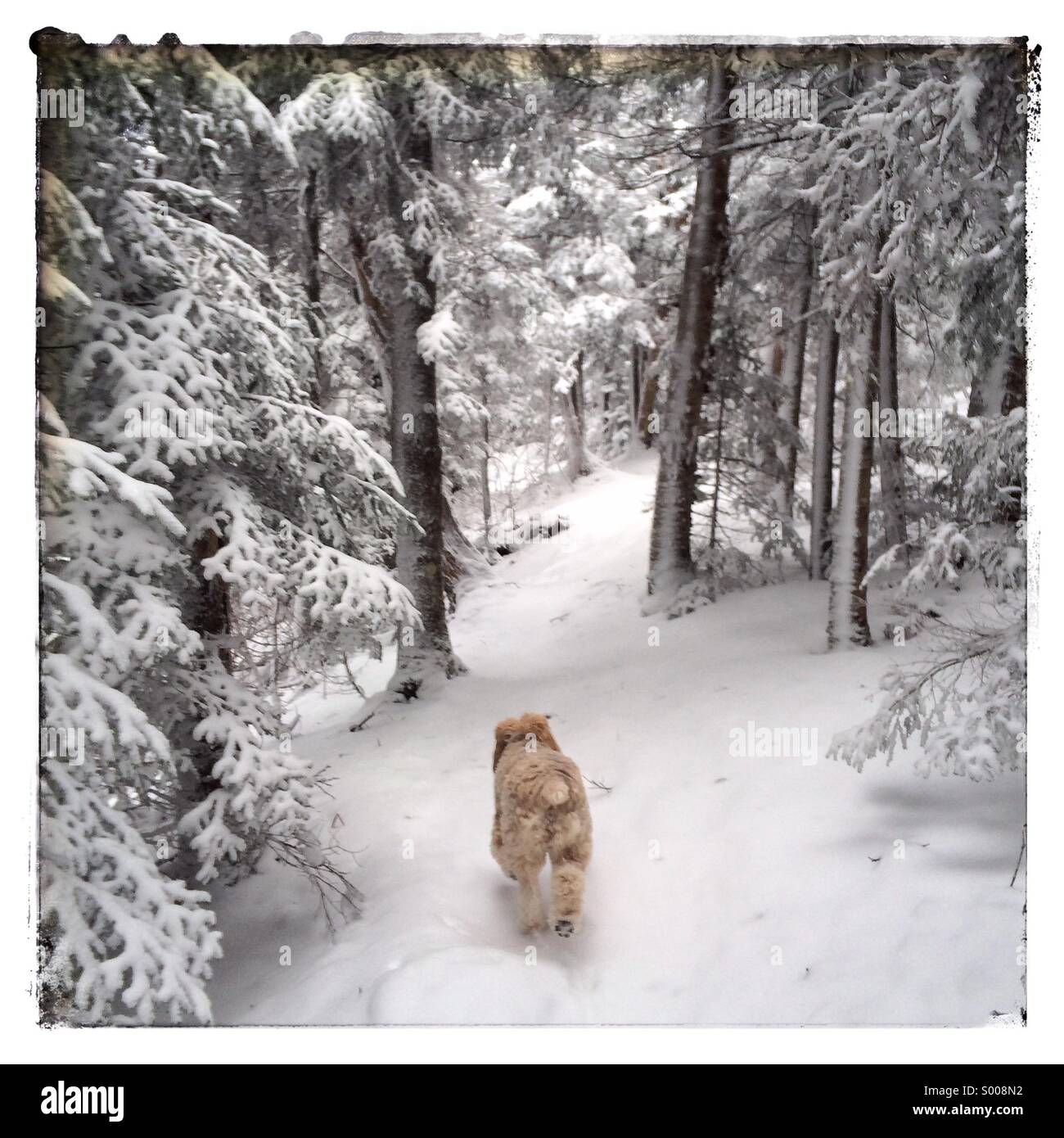 Nita auf Cooper Brennofen Trail Stockfoto