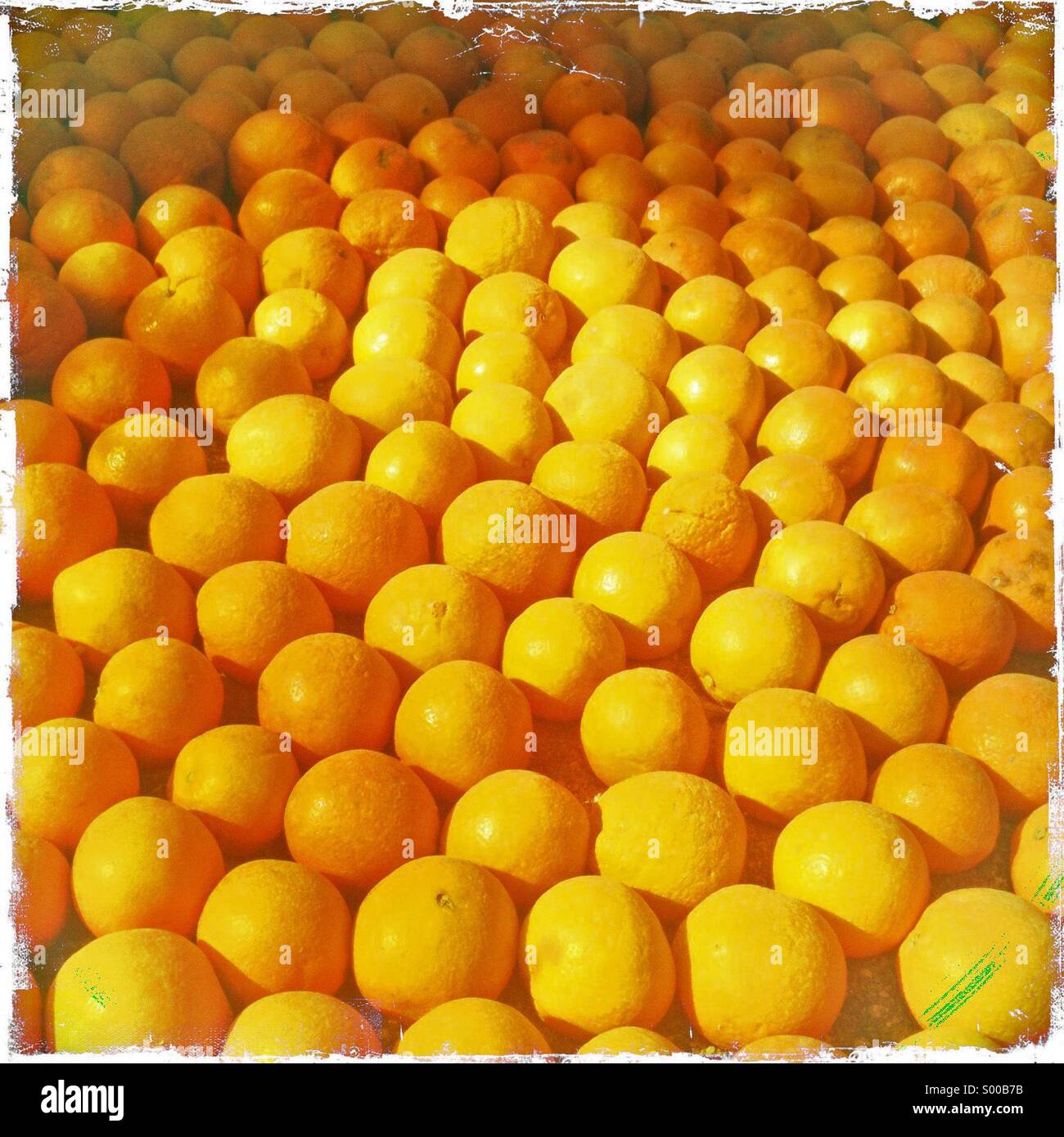 Orangen auf dem Display an Zitronenfest Menton Frankreich Stockfoto