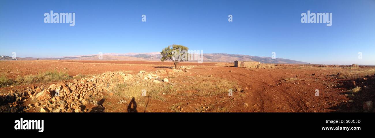 Tallandschaft Bekaa Libanon, Naher Osten Stockfoto