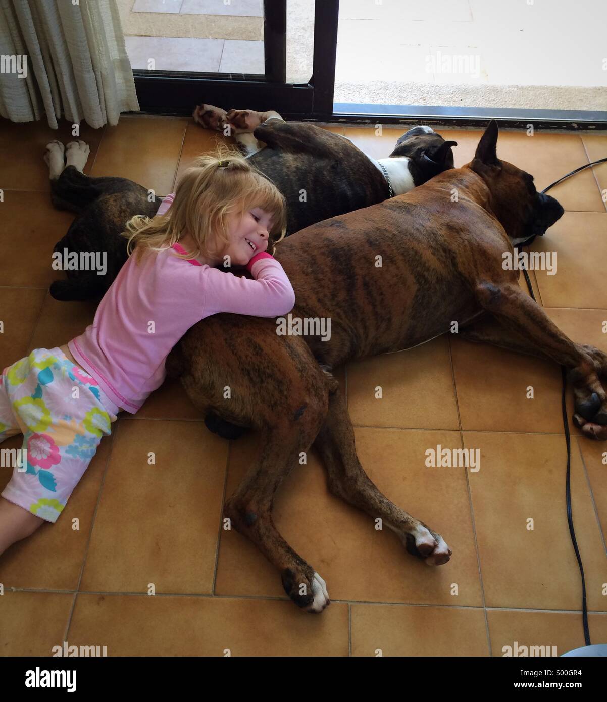 Kleines Mädchen entspannend an einem Sonntag Nachmittag mit ihren Hunden Boxer Brot Stockfoto