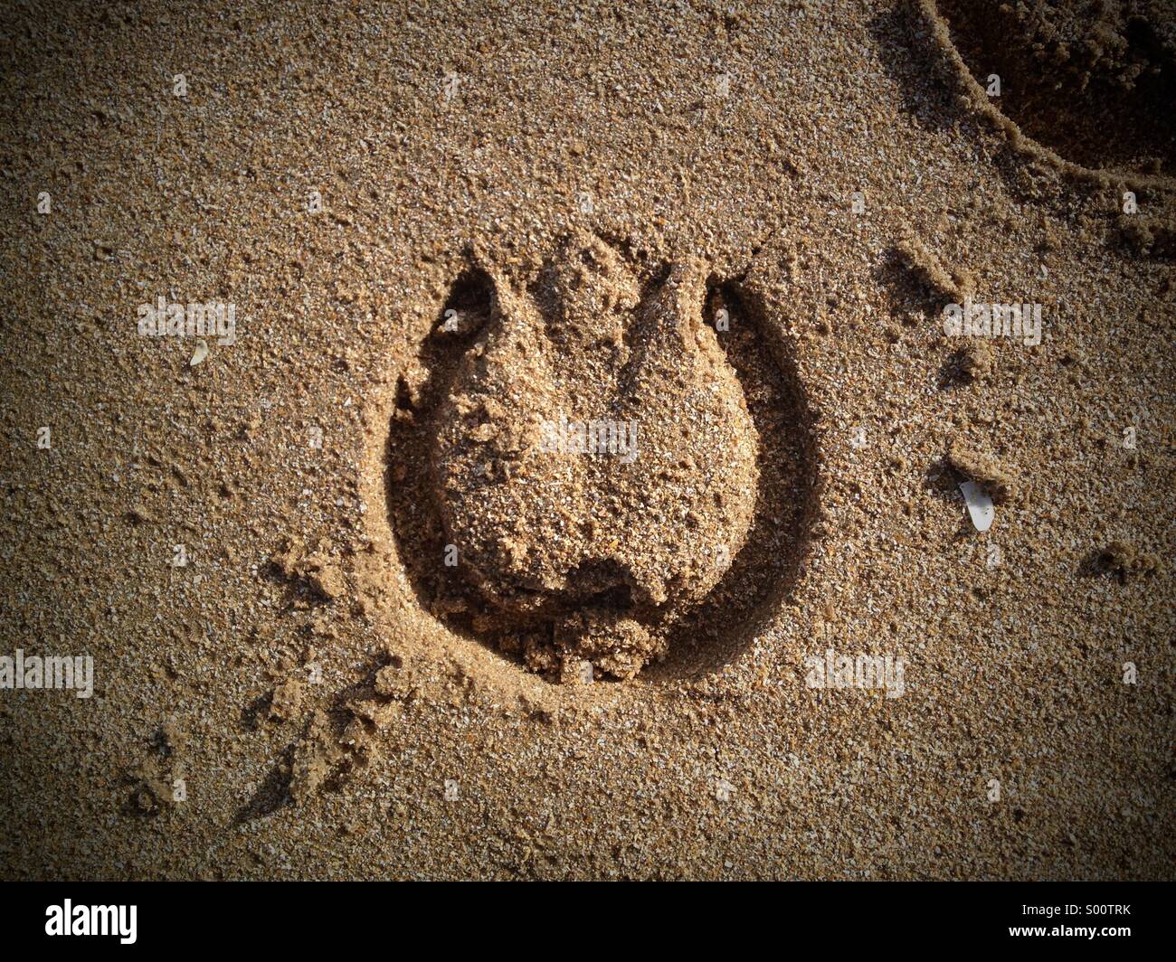 Horse hoof print Fotos und Bildmaterial in hoher Auflösung Alamy