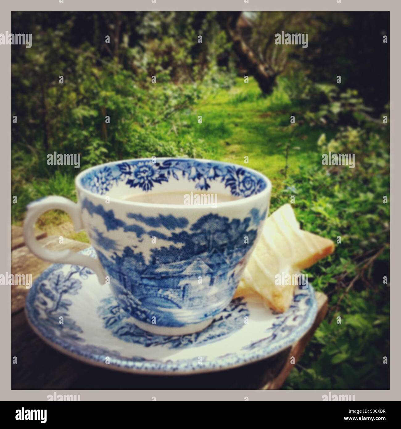 Eine Tasse Tee in einem Vintage Ahnung und weißen Tasse und Untertasse, mit einem sternförmigen Keks im Garten Stockfoto