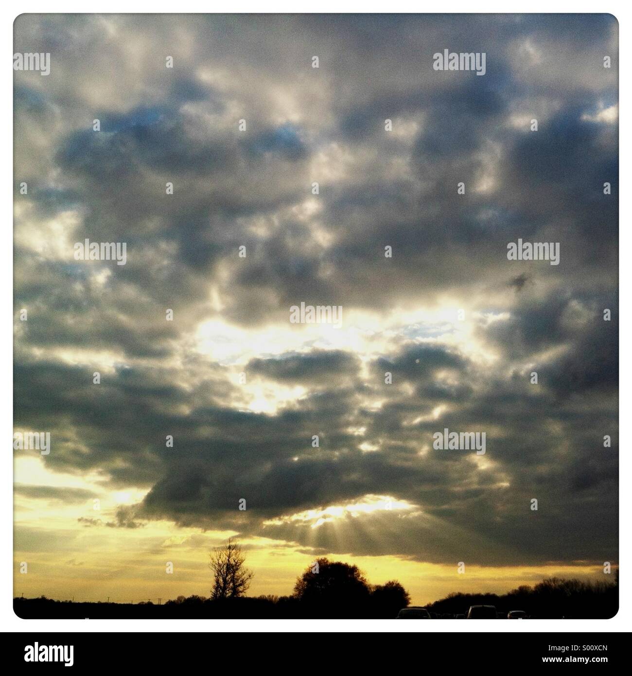 Dramatischer Wolkenhimmel mit Sonnenstrahlen kommen durch die Bäume unten Stockfoto