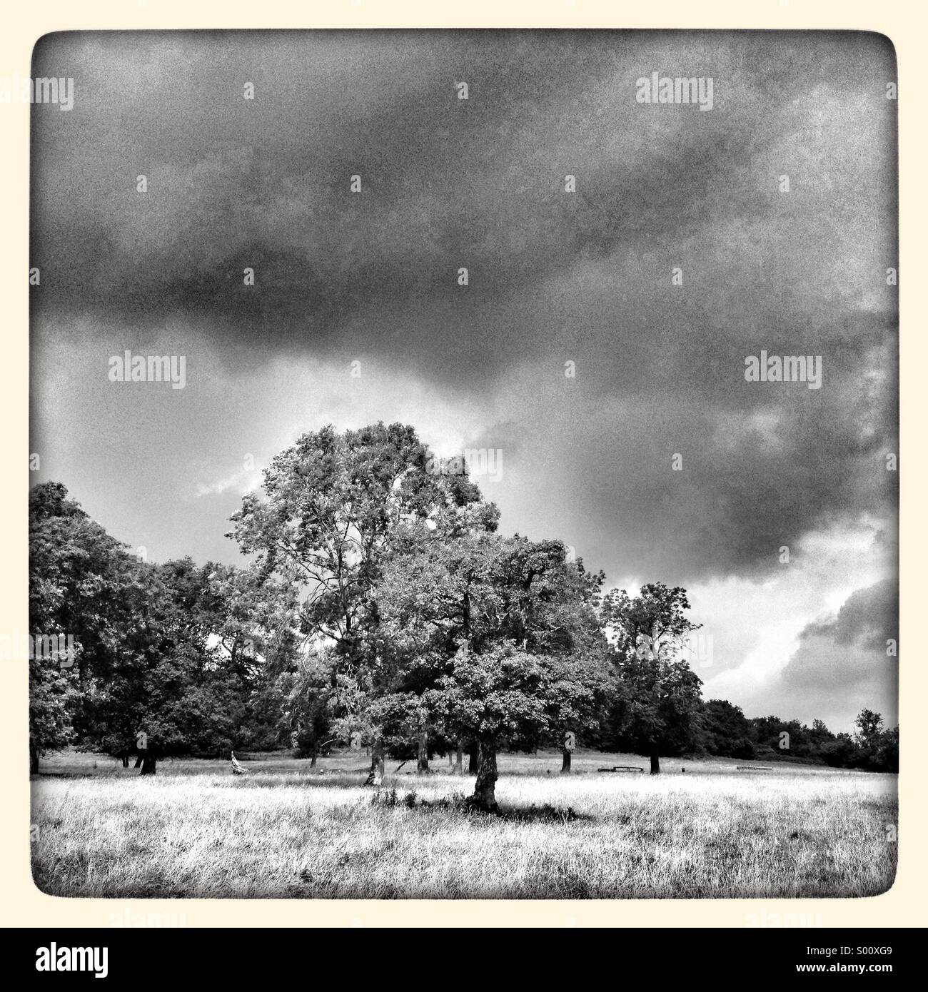 Sommergewitter nähert sich - Smartphone-aufgenommenes Stockfoto
