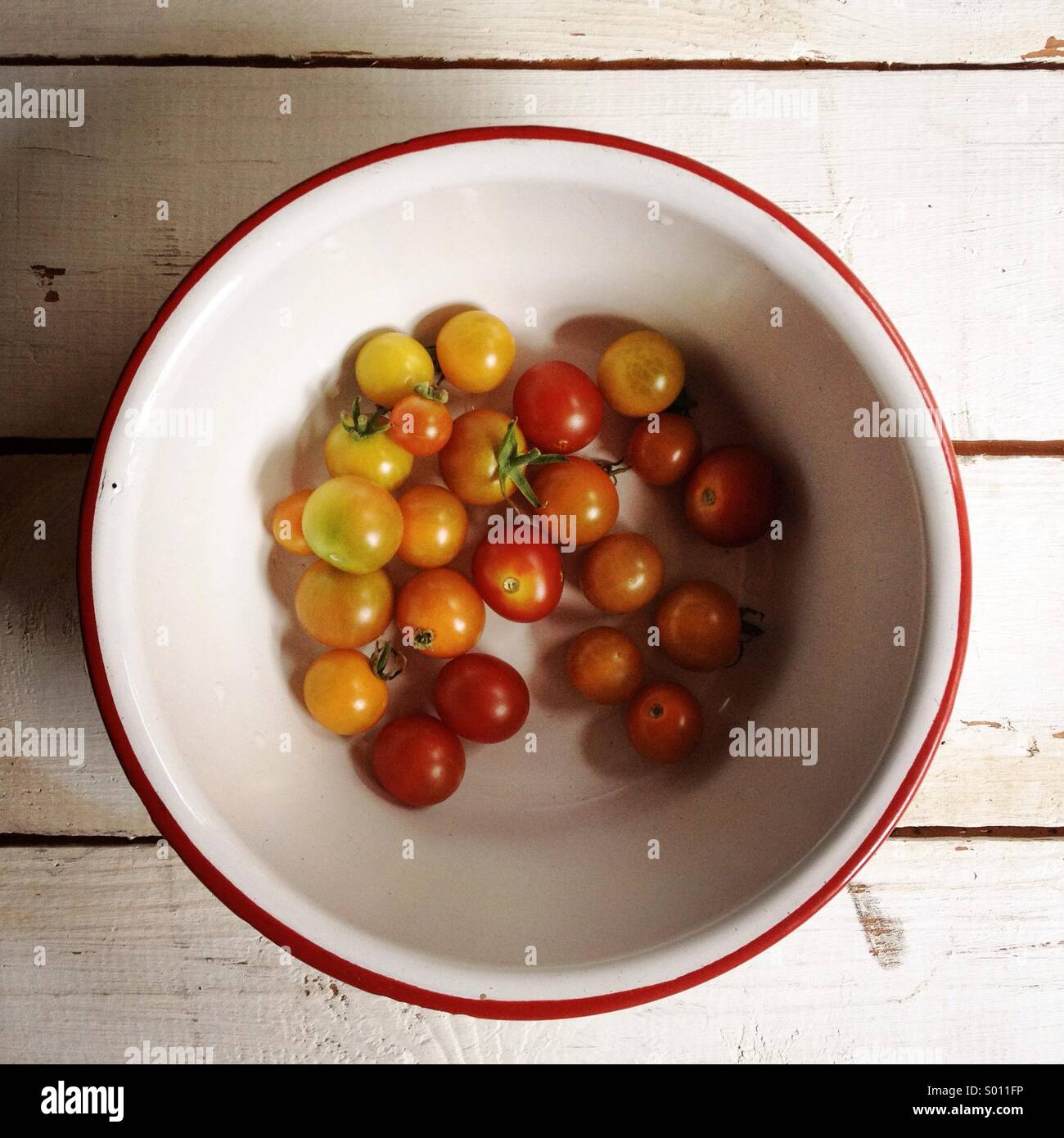 Cherry-Tomaten aus einem städtischen Garten geerntet. Stockfoto