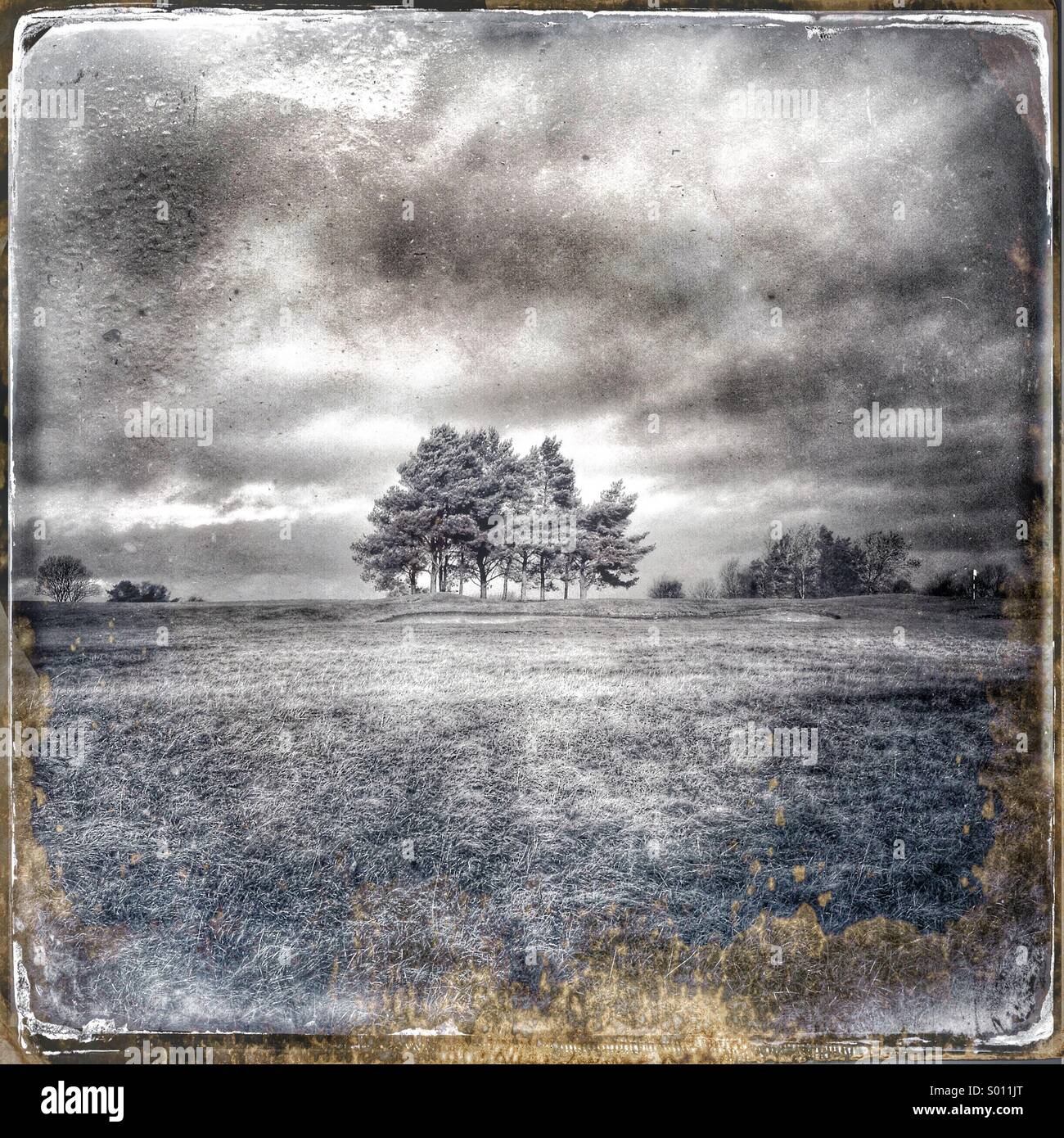 Ein Sturm zieht über Wald - Smartphone-aufgenommenes Stockfoto