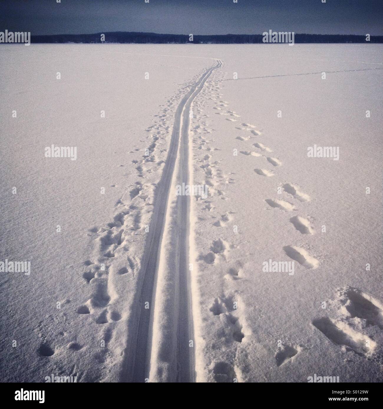 Eine Loipe über einen gefrorenen See in der Nähe von Kajaani in Finnland Stockfoto