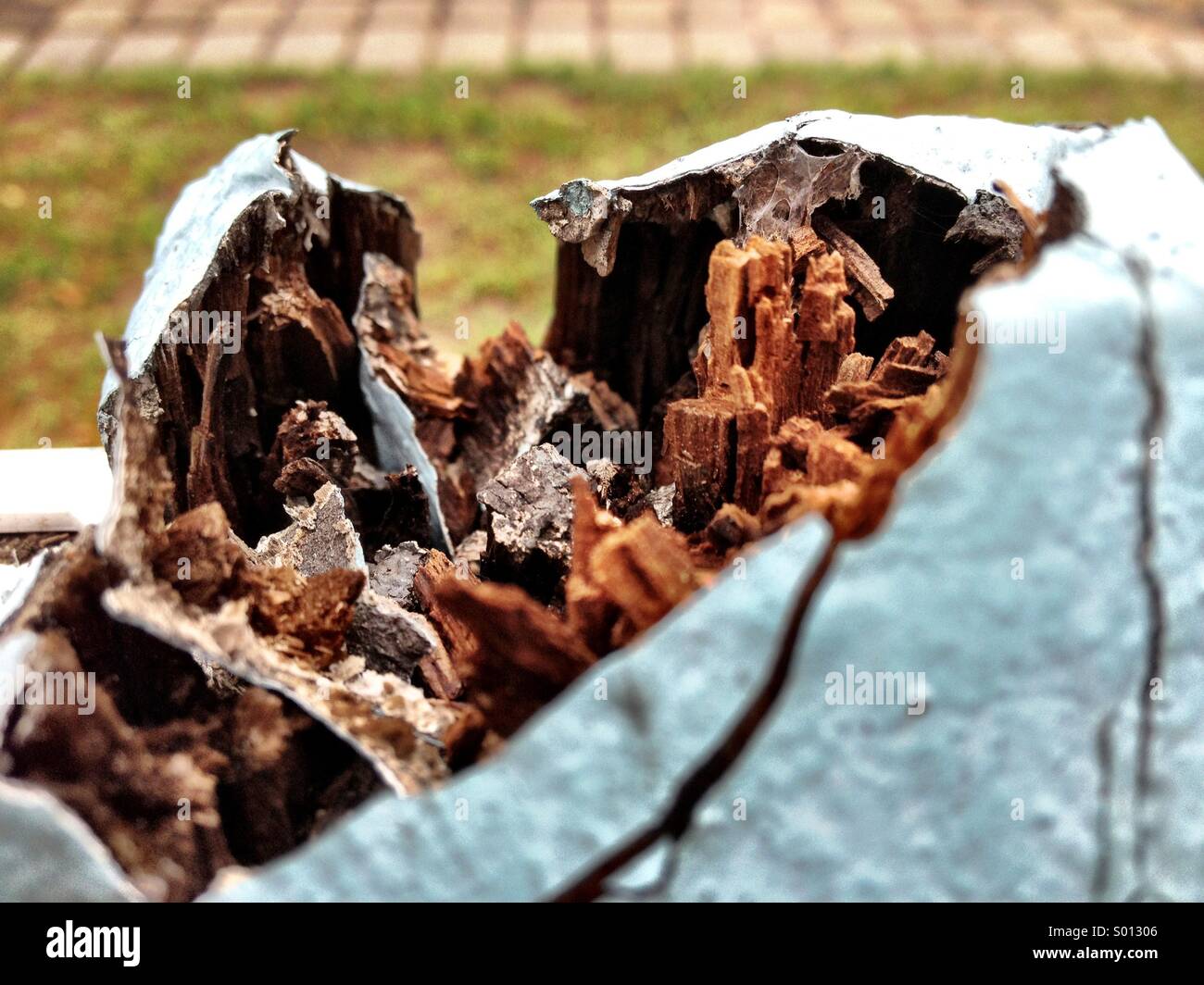 Nahaufnahme der verrottete Holz auf einem Zaunpfahl. Stockfoto