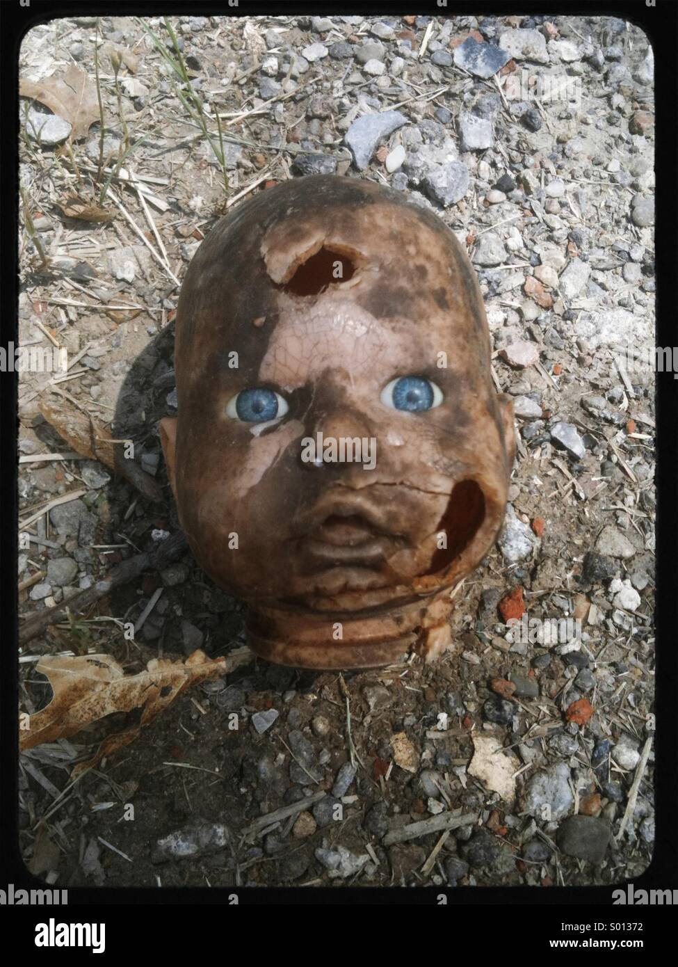 Zerbrochene Puppe Kopf in einem Feld gefunden. Stockfoto