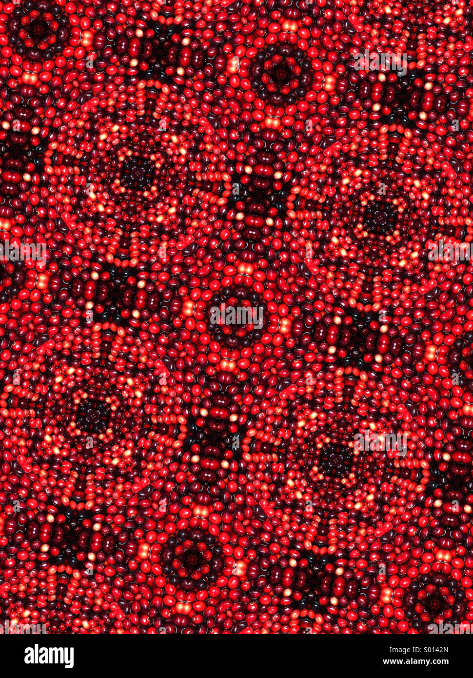 Ein Kaleidoskop-Muster aus der frische cranberries Stockfoto