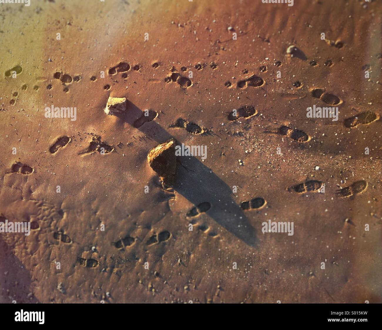 Boot und Hund Pfotenabdrücke im Sand von der späten Nachmittagssonne beleuchtet. - Smartphone-aufgenommenes Stockfoto