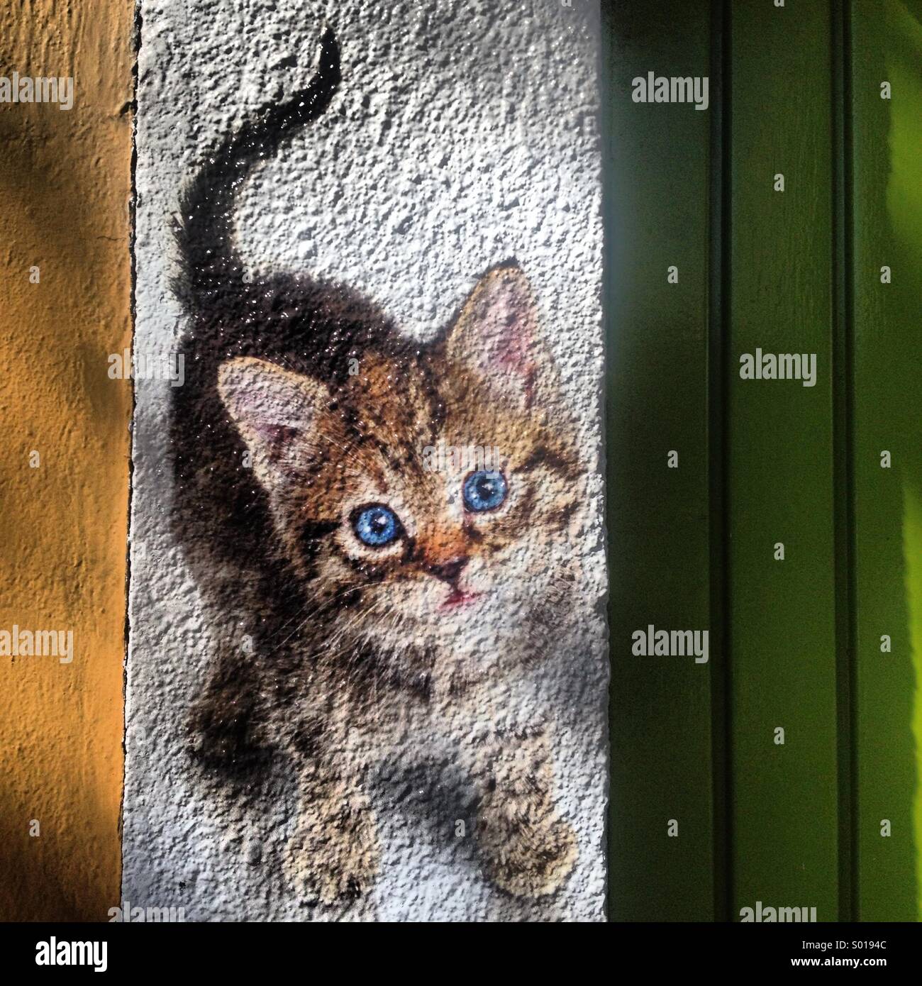 Eine Werbung mit dem Bild eines Kätzchens schmückt einen Haustiere Shop in Colonia Roma, Mexiko-Stadt, Mexiko Stockfoto