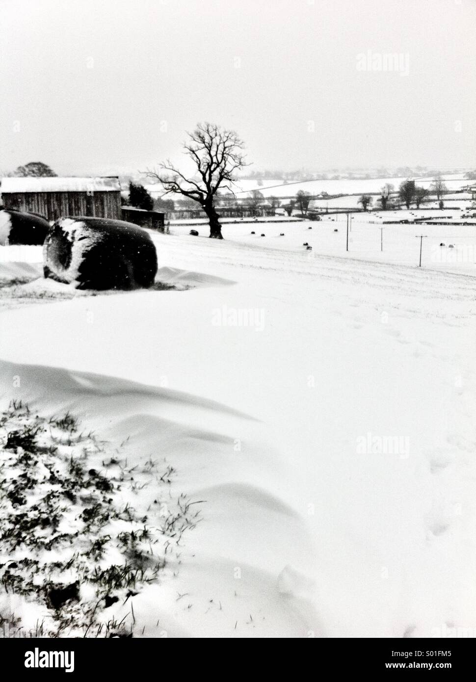 Schneeverwehungen, Wales Stockfoto