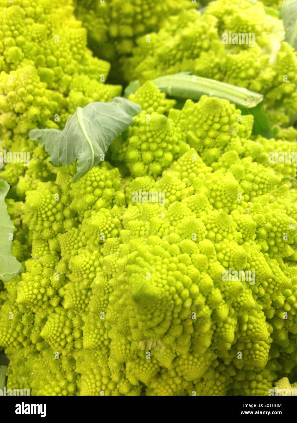 Broccoflower Stockfoto