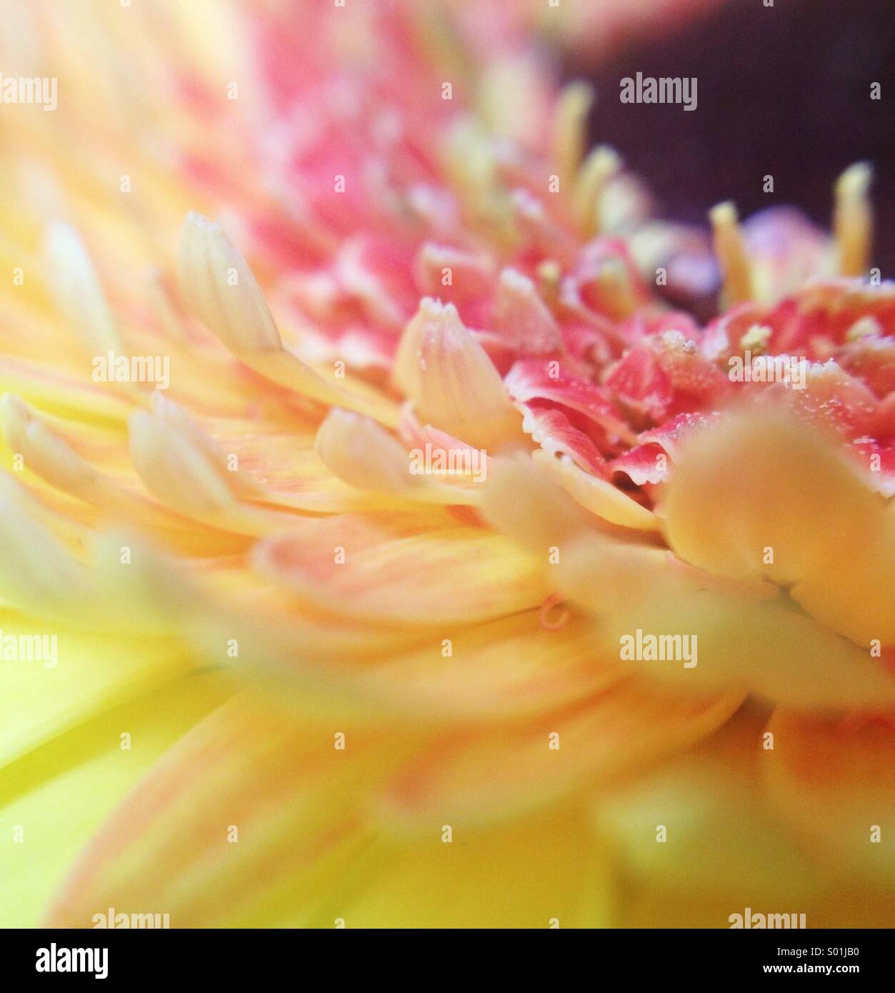 Sonnenschein - Smartphone-aufgenommenes Stockfoto