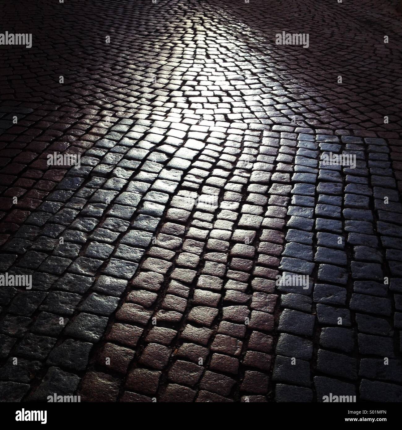 Eine nasse Kopfsteinpflaster glänzen im Sonnenlicht - Smartphone-aufgenommenes Stockfoto