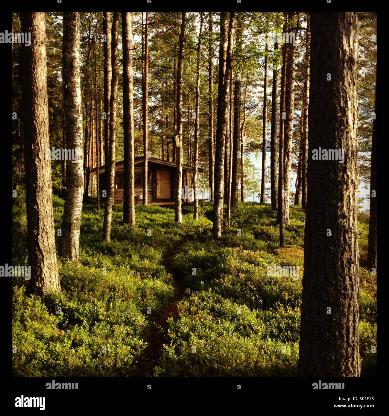 Eine hölzerne Hütte tief im Wald Wildnis... Stockfoto