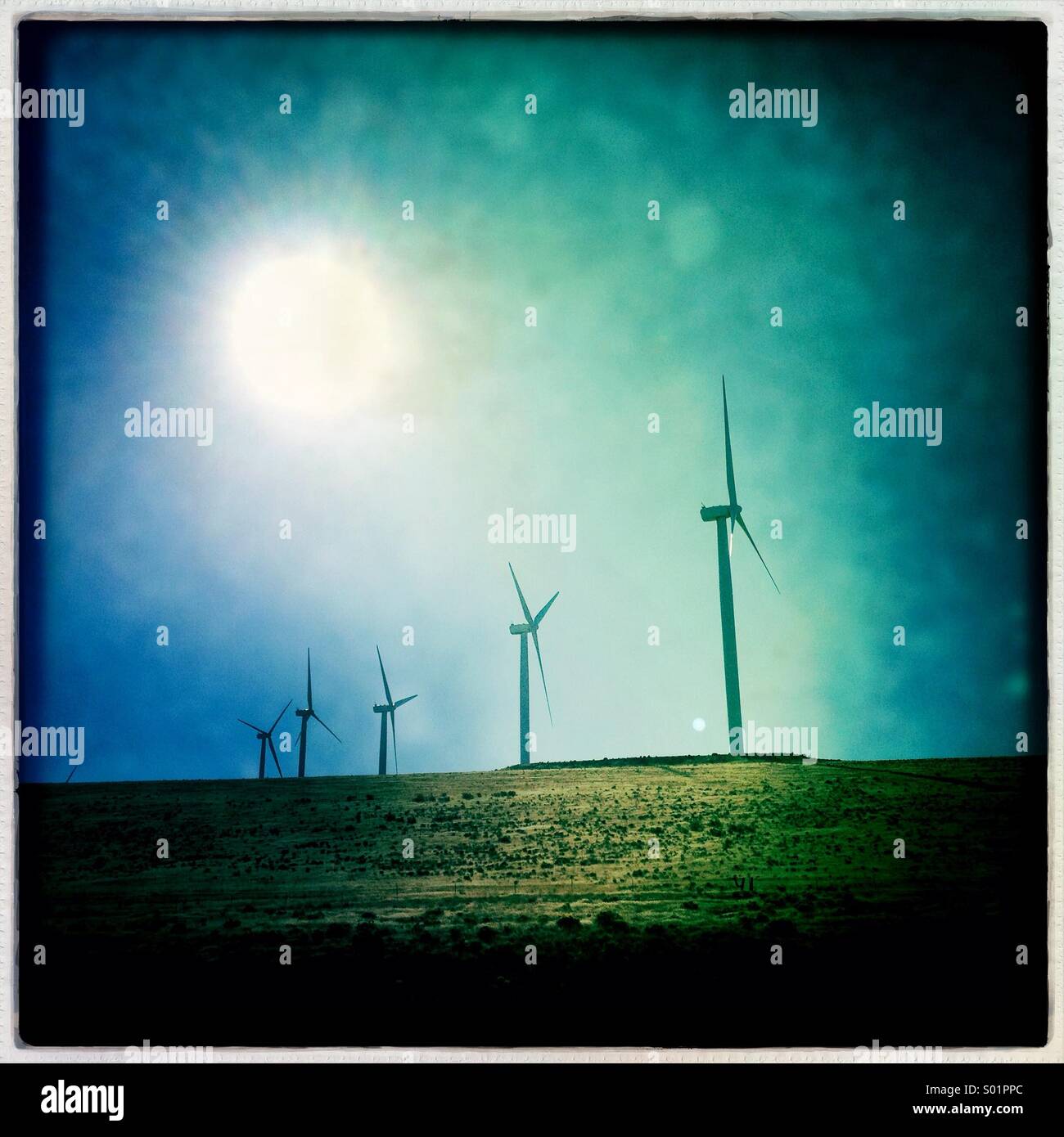 Macht Windmühlen stehen auf einem Bergrücken in der Palouse Region des Staates Washington - Smartphone-aufgenommenes Stockfoto