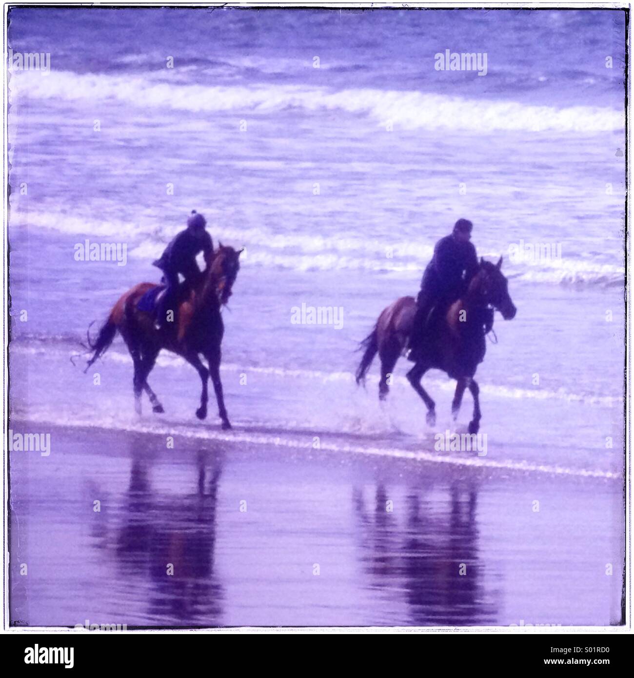 Zwei Pferde und Reiter im Galopp auf nassen Sandstrand Stockfoto