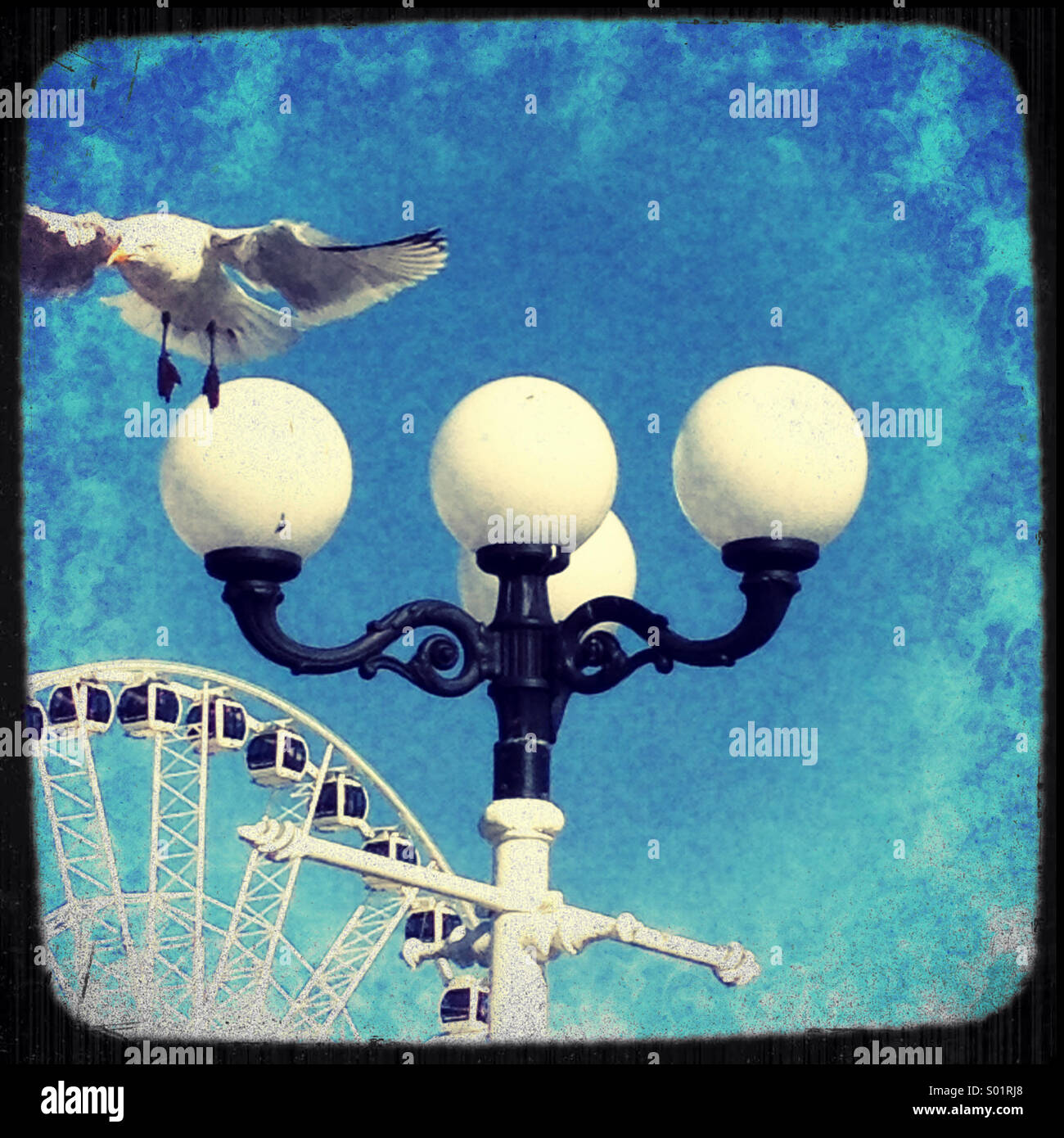 Eine Möwe fliegt aus der Barsch auf eine altmodische Straßenlaterne in Brighton, England. - Smartphone-aufgenommenes Stockfoto