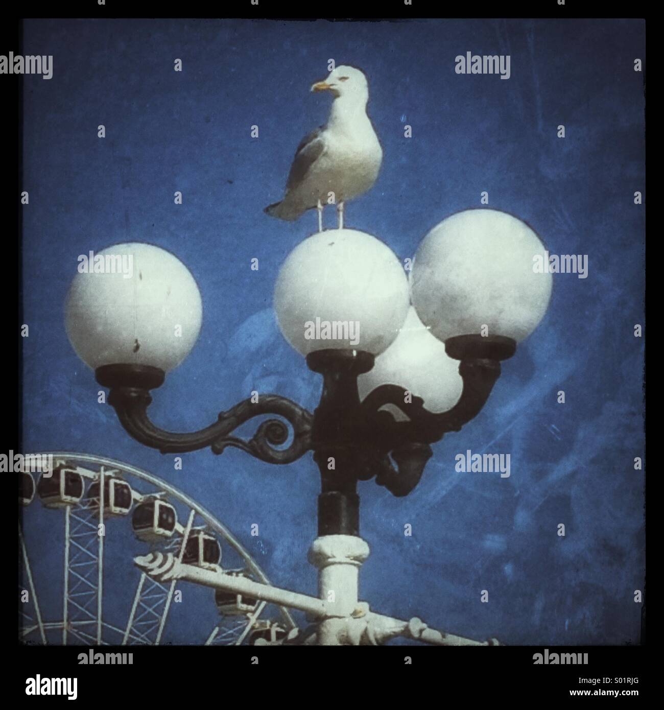 Eine Silbermöwe sitzt auf einem altmodischen Straßenlaterne am Pier von Brighton, Brighton Rad im Hintergrund. - Smartphone-aufgenommenes Stockfoto