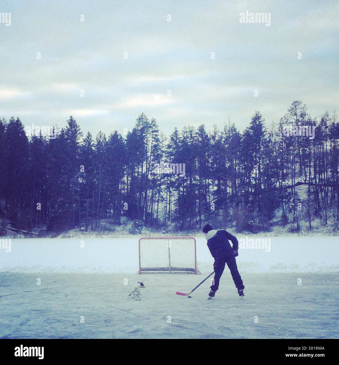 Kanadische Landschaft: ein Junge spielt Hockey auf einem zugefrorenen Teich mit seinem Hund im Schlepptau. Stockfoto