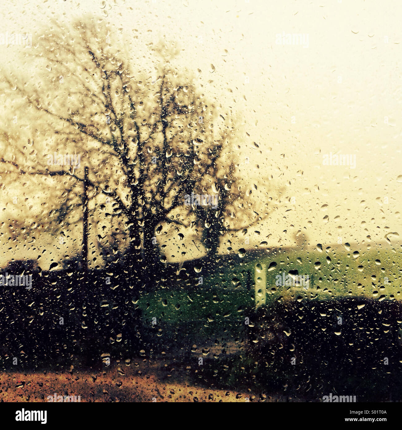 Regen am Fenster Stockfoto